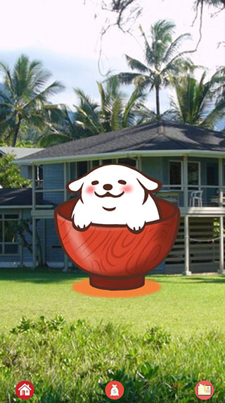 谷鸟老师app