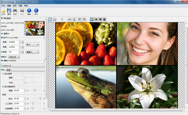PhotoZoom (图片放大软件)